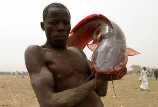 Сумасшедшая рыбалка на озере Антого
